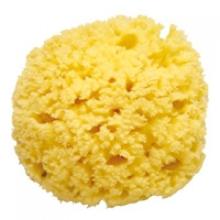 Губка натуральная морская Grass Form First Quality Sponges